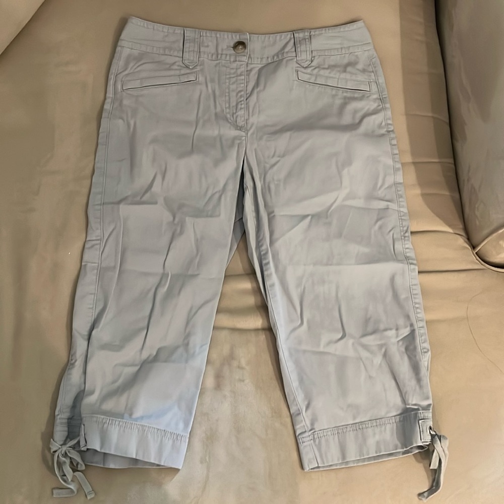 Ann Taylor capri pants
